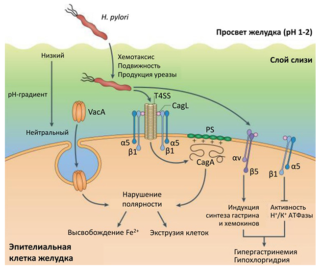 Изображение на обложке