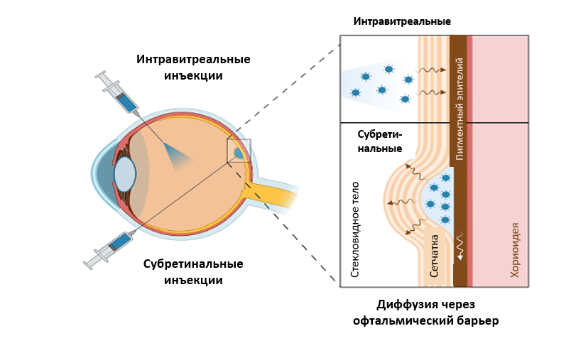 Изображение на обложке