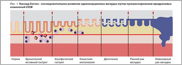 Боярко_Рис. 2.jpg