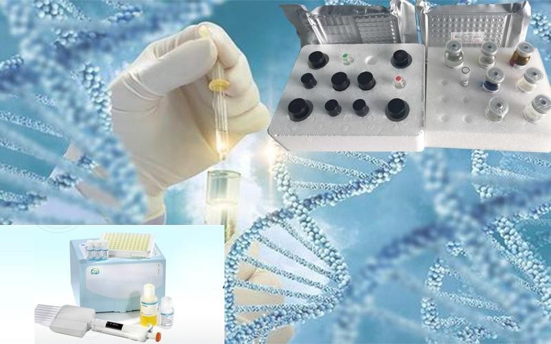 фармакогенетическое тестирование.jpg