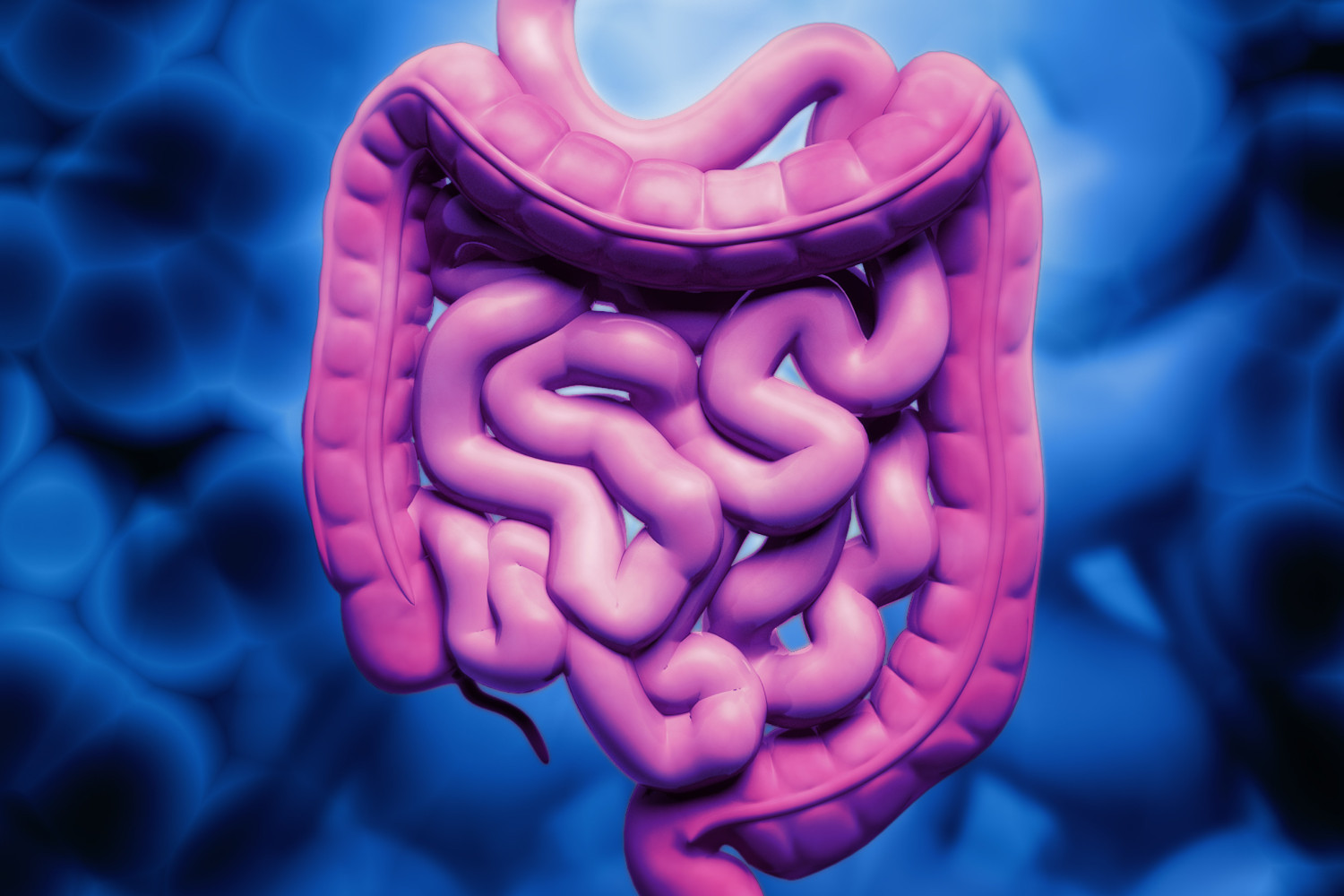 кишечник.jpg